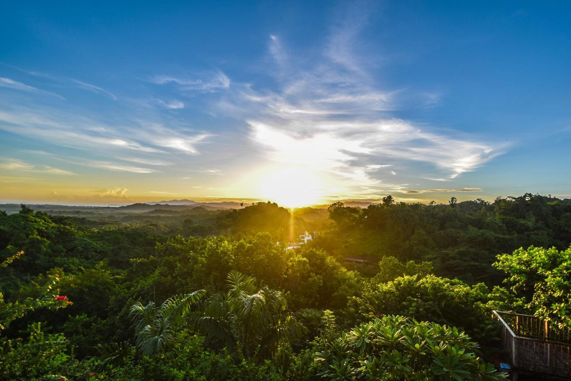 Clave Verde Ecolodge Las Terrenas Zewnętrze zdjęcie