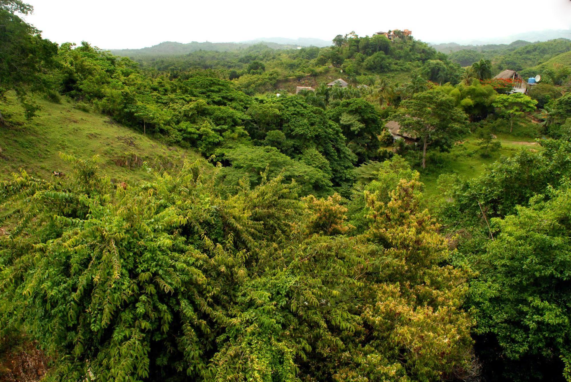Clave Verde Ecolodge Las Terrenas Zewnętrze zdjęcie