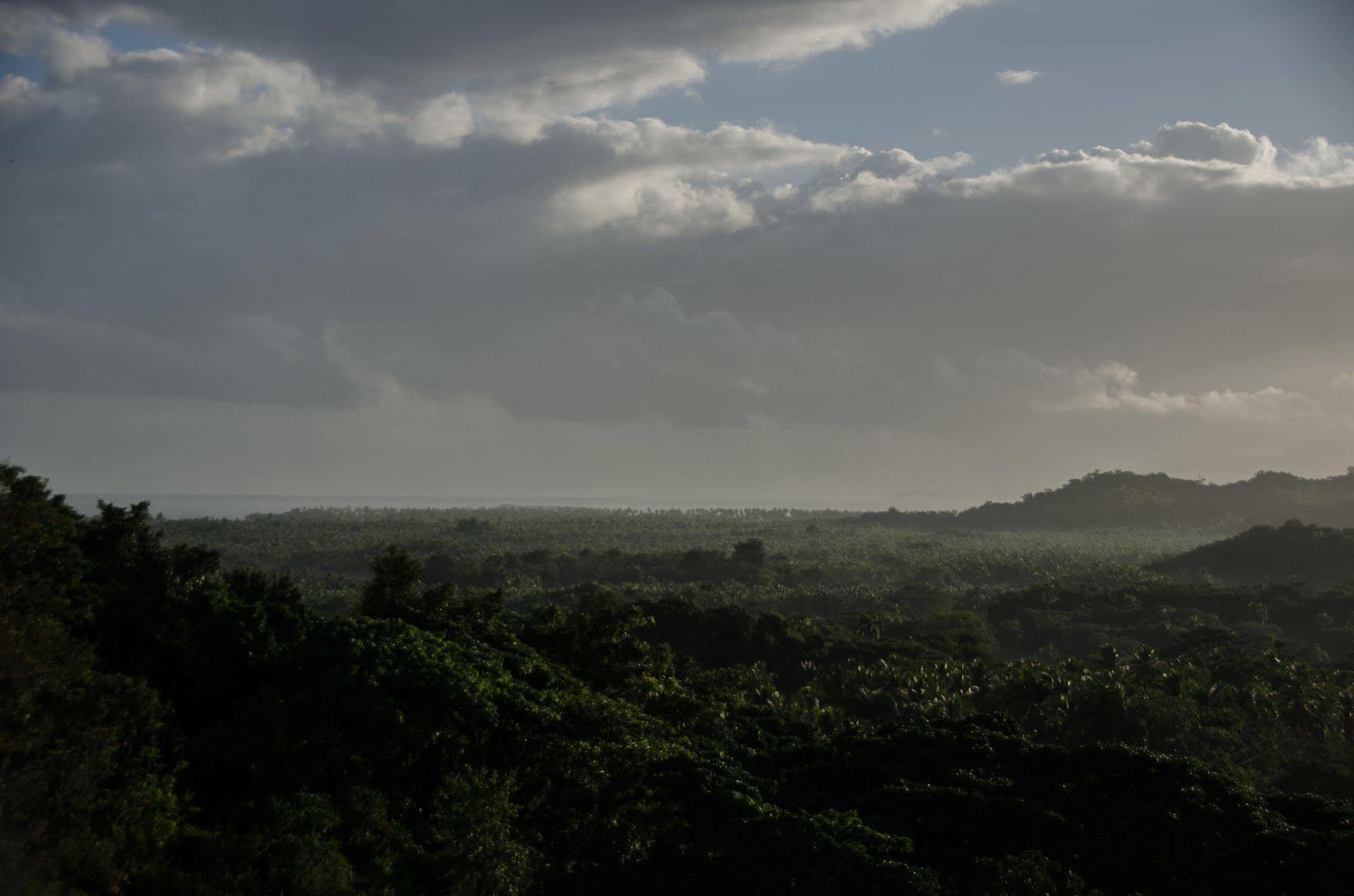 Clave Verde Ecolodge Las Terrenas Zewnętrze zdjęcie
