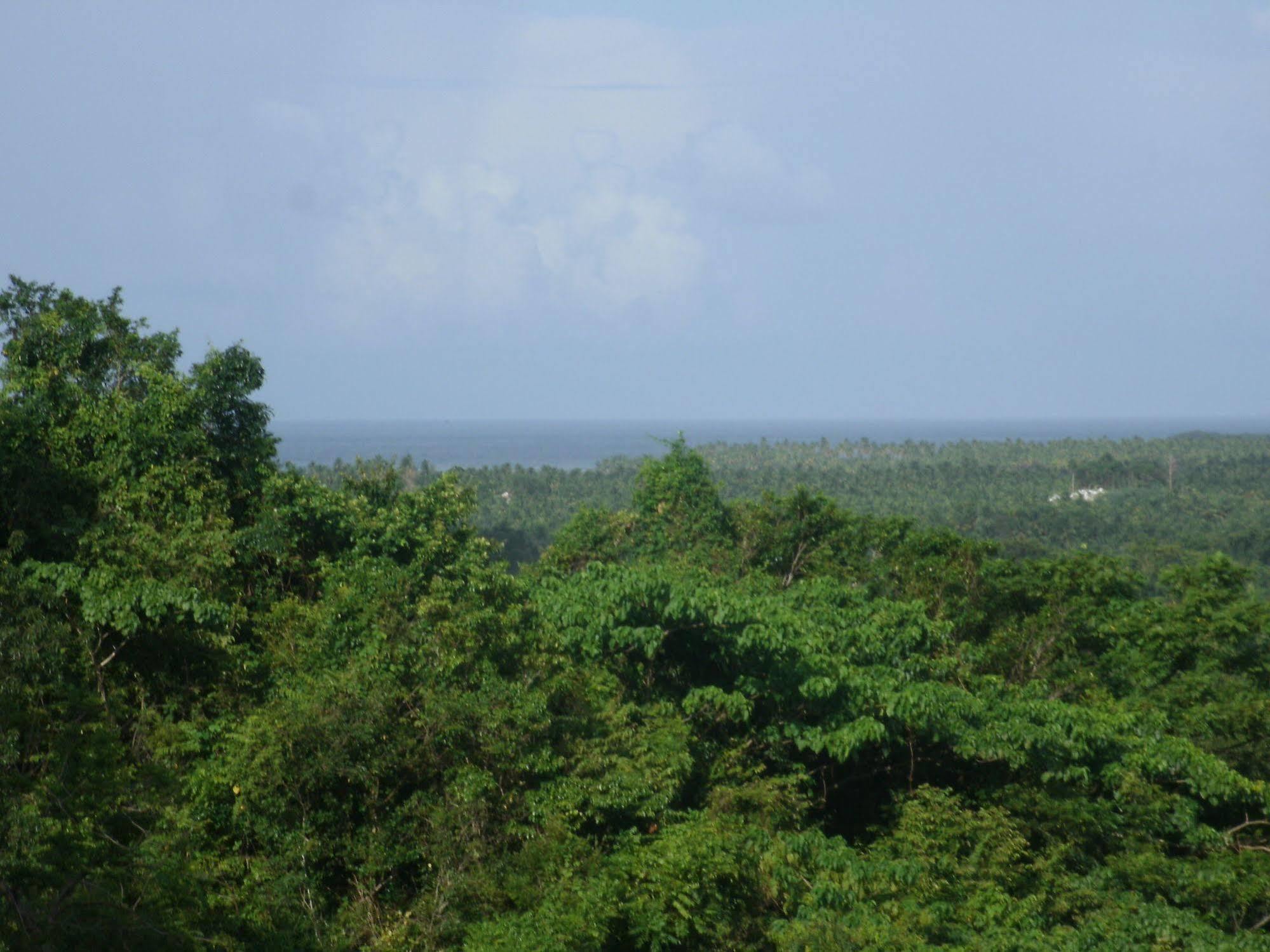 Clave Verde Ecolodge Las Terrenas Zewnętrze zdjęcie